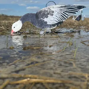 Phantom Decoys Blue Geese Silhouette