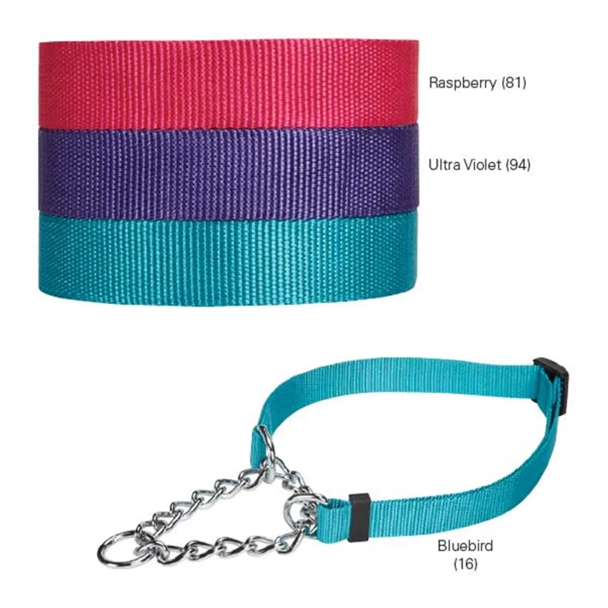 Guardian Gear Martingale Collar for Small Animals - 22-34 in Ultra Violet, Prevents Injury, Collars & Harnesses Category, Coordinating Leads Available, Includes Hangtag