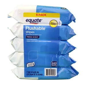 Equate Flushable Wipes - Fresh Scent 5 Packs of 48 Wipes Total 240 - Scented Napkin for Convenient Use