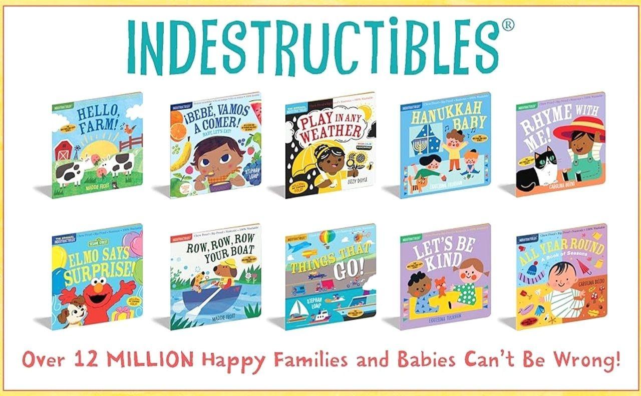 Indestructibles: Beach Baby: Chew Proof · Rip Proof · Nontoxic · 100% Washable (Book for Babies, Newborn Books, Safe to Chew)   Paperback – Picture Book, April 5, 2016