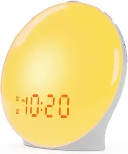 ADHD-Friendly Sunrise Wake-up Lights Alarm Clock Dual Alarms, FM Radio, Night Light & 20 Brightness Levels for Calm Mornings