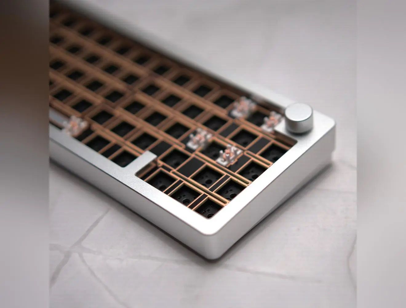 Silver Barebone