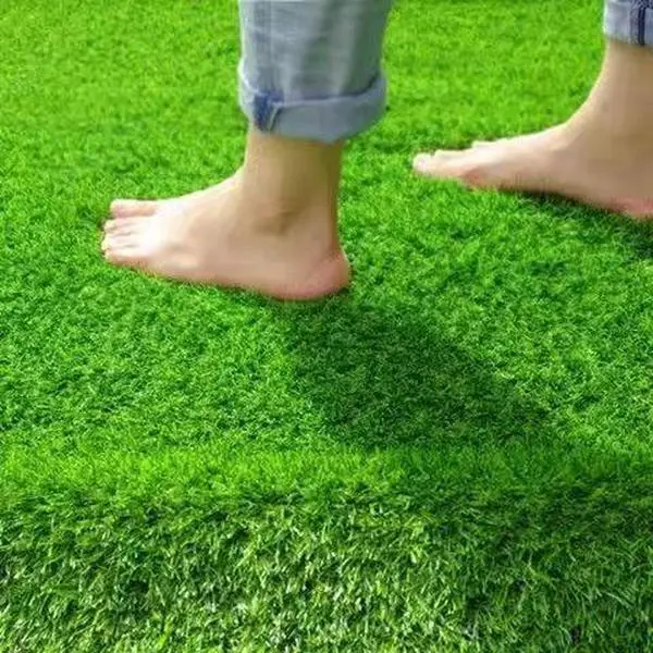 400000 Premium Lawn Grass Seed Mix Sun & Shade Drought Tolerant Low Maintenance，No-Mow Low Water Lawn Seed Shade Tolerant Eco-Friendly Dense Green Grass，Patch & Repair Lawn Seed Mulch Fertilizer 3-in-1 Bare Spot Fix Quick Germination