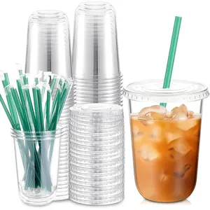 25 Set Plastic Cups with Lids and Straws, Disposable Plastic Iced Coffee Cup for Cold Beverage Juice Smoothie  for Coffee Shops Party Catering(Clear,16 oz)
