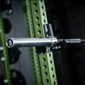 Bare Steel Equipment Iron Skull Power Bar