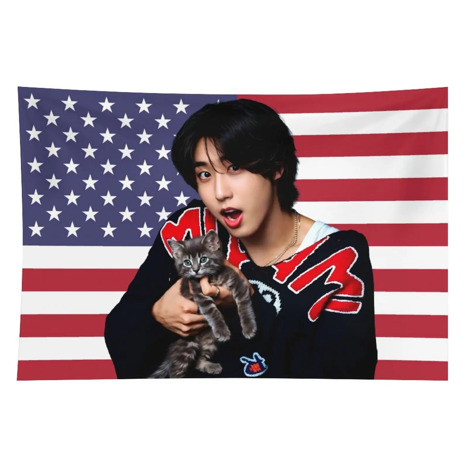 1pc 60x40in SKZ Han & Kitten American K-Pop Tapestry, Hanging Decoration Tapestries, K-Pop Merchandise Fan Gift, Home Decor Wall Hanging Room Decoration