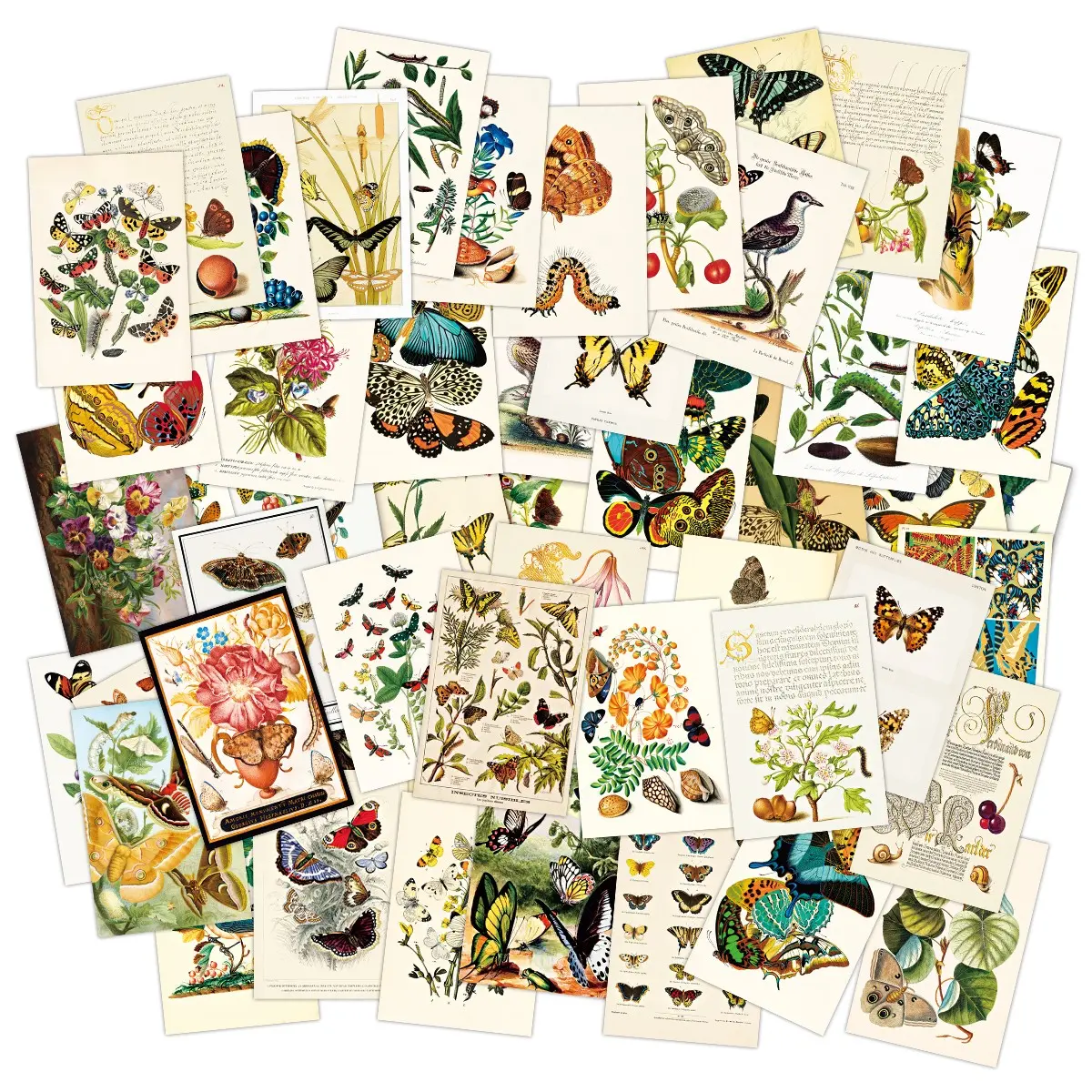 Vintage Wall Collage Set of 50 Pieces, Aesthetic Wall Decor, Art Painting, Art Print, Vintage Flower Print, Plant Illustration, Butterfly Floral Print, Tarot Aesthetic, Vintage Prints, Cards, Photos