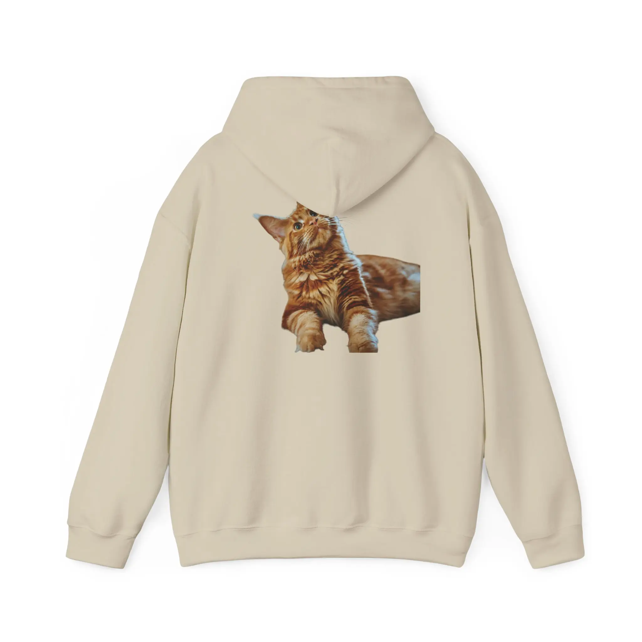Pet Lover Customized Hoodie, Personalized Pet Name and Portrait Printed Sweater, Dog and Cat Owner Gift, Custom Animal Graphic Jumper, Pet