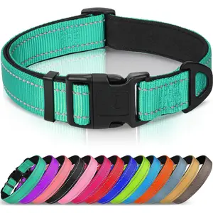 Reflective Dog Collar, Soft Neoprene Padded, Metal D-Ring, Nylon Pet Collar Adjustable for Large Dogs, Teal, L