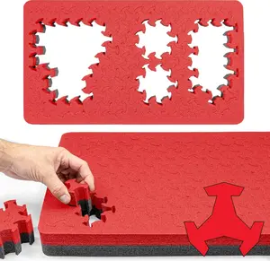 Eylar RAGAR Insert For Pelican 1510 - 19.75" x 11.75" Reconfigurable & Reusable Protective XP Crosslinked Foam Insert For Carry-On Equipment And Camera Hard Cases (2 Ragar Layers & 1 Pad) (Red/Black)