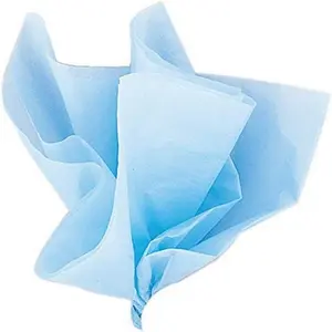 Tissue Sheets (10 Ct) Perfect for Gift Wrapping Crafts & Decorative Needs