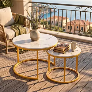 MyCasaMood Holiday Special 2-Piece Round Nesting Coffee Tables, Marble-Style Top, Space-Saving Stackable Design, Sturdy MDF & Metal Frame, Easy Assembly for Living Room & Bedroom