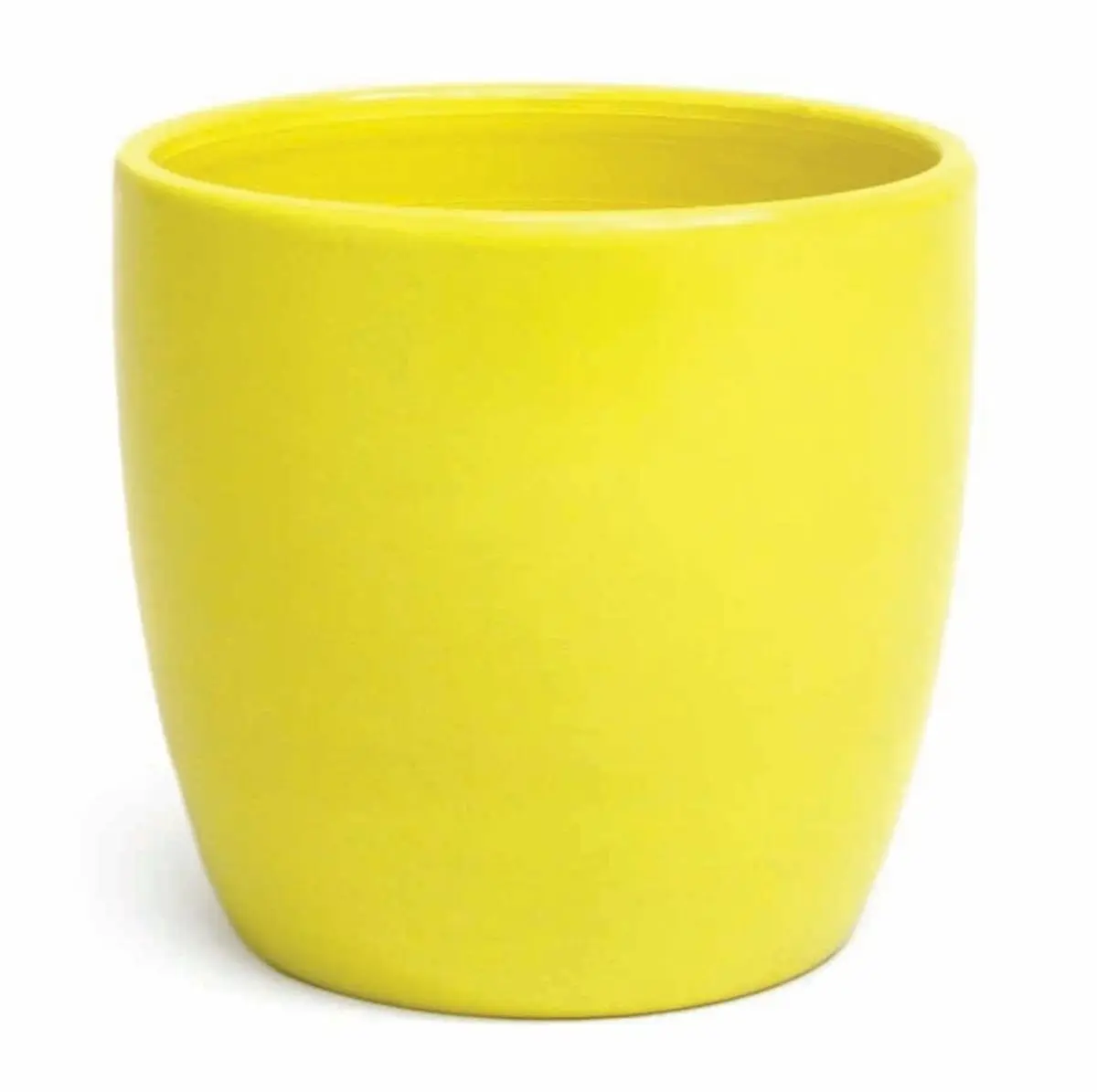Bright Yellow Planter