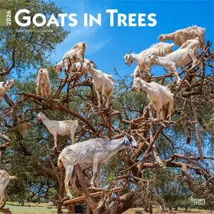 Goats in Trees | 2026 12 x 24 Inch (Hanging) Monthly Square Wall Calendar | Plastic-Free | BrownTrout | Domestic Funny Farm Animals