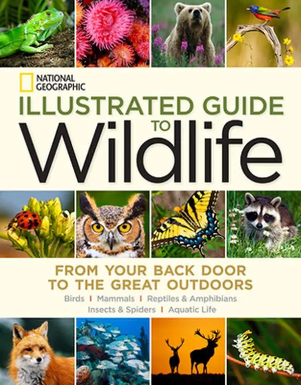 USED Book - National Geographic Illustrated Guide to Wildlife: From Your Back Door to the Great Outdoors by National Geographic (Hardcover) - english