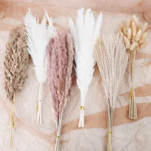 NortureFlora Dried Pampas Grass & Bunny Tail Bouquet (109pcs/218pcs) - Fluffy Rustic Artificial Decorative Flowers, DIY Floral Centerpiece, Cozy Aesthetic Vase Arrangement for Living Room, Bedroom