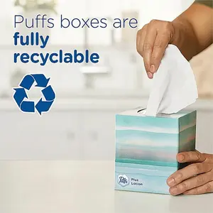 Puffs Plus Lotion Facial Tissues 2 Ply - WhiteBox - 56/Box - 4 / Pack (34899)