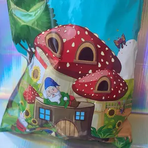 10x13 gnome poly mailers qty 100