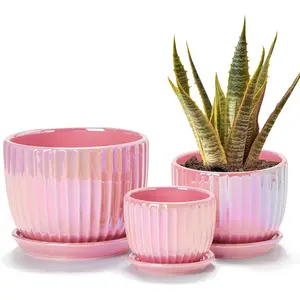 Pink  Ceramic Flower Pots, 4"+5"+6" Inch Small Glazed Succulent Planters with Drainage Hole,Modern Indoor Decorative  Pots Set of 3,Garden Pots with Saucer