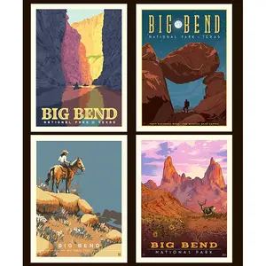 National Parks 36" Big Bend Pillow Panel Multi