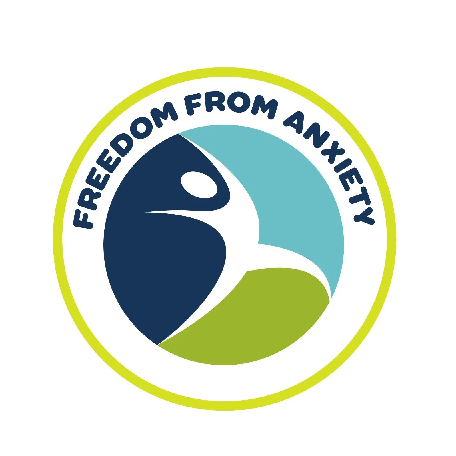 Freedom From Anxiety Program by Dr. Mike Lee Videos and Workbook