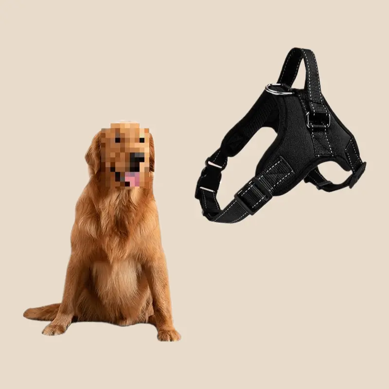 Dog Hand Holding Rope Large, Medium and Small Dogs Dog Chain Chest Strap Teddy Labrador Corgi Collar Pet Supplies