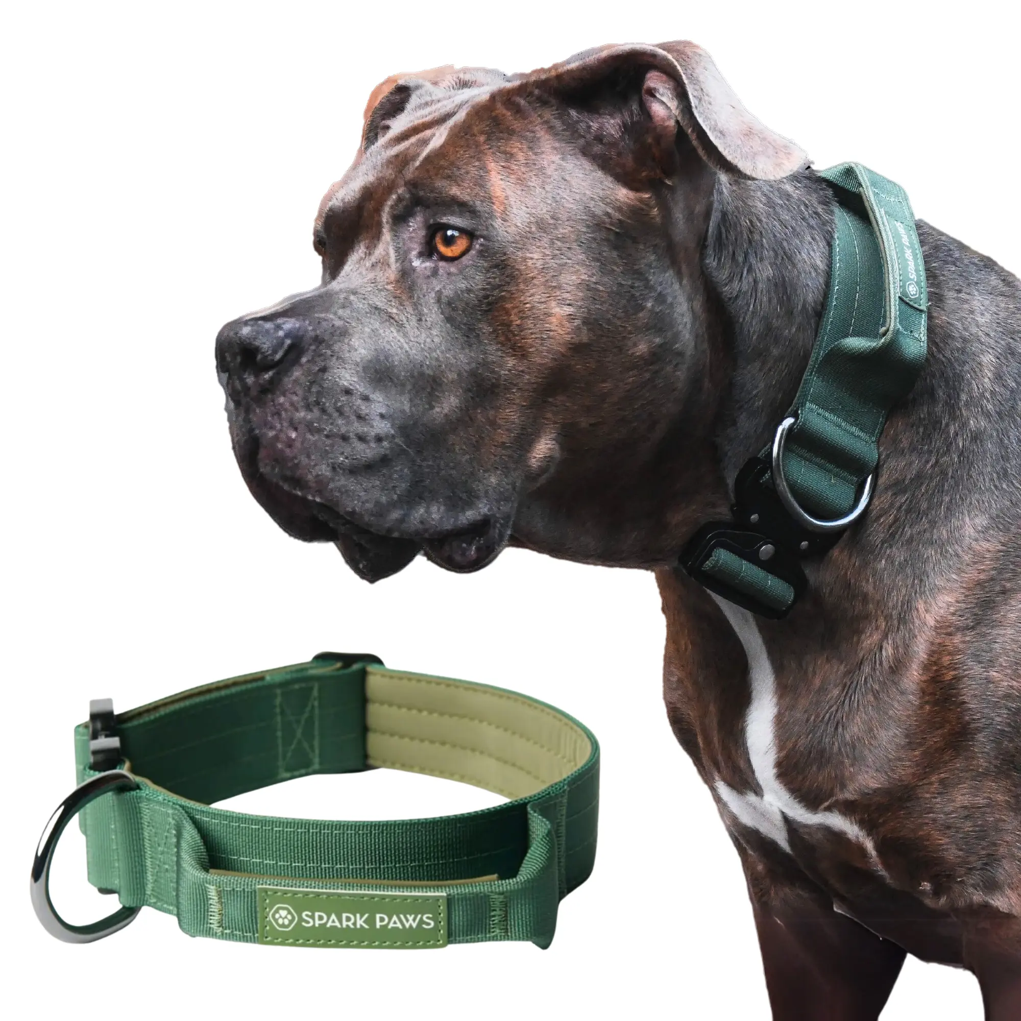 Green Collar