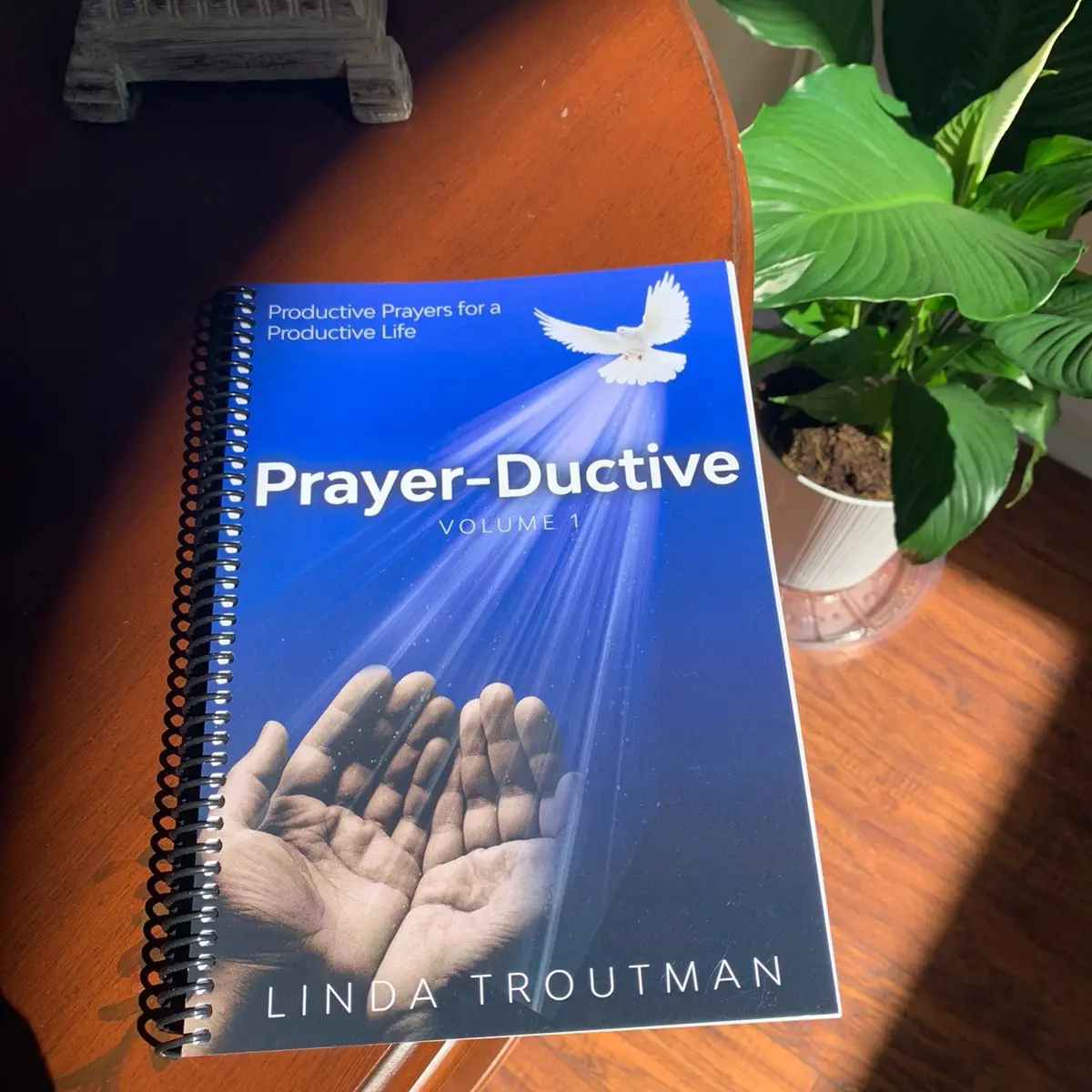 Prayer-Ductive Volume 1