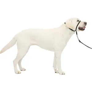 Gentle Leader No-Pull Dog Headcollar - The Ultimate Solution to Pulling - Redirects Your Dog's Pulling for Easier Walks - Helps You Regain Control - Large, Black