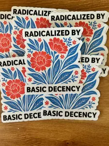 Radicalized By Basic Decency sticker