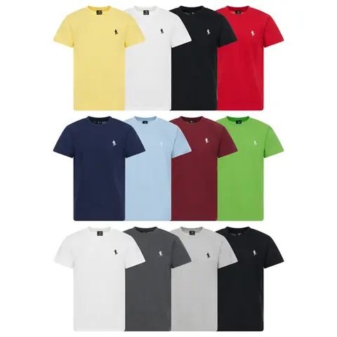 5 Pack Black Horse Club Men's Short Sleeve Crew Neck Or V-Neck Classic Cotton T-Shirt Casual Top fashion tee Slim Fit Embroidered Tshirt