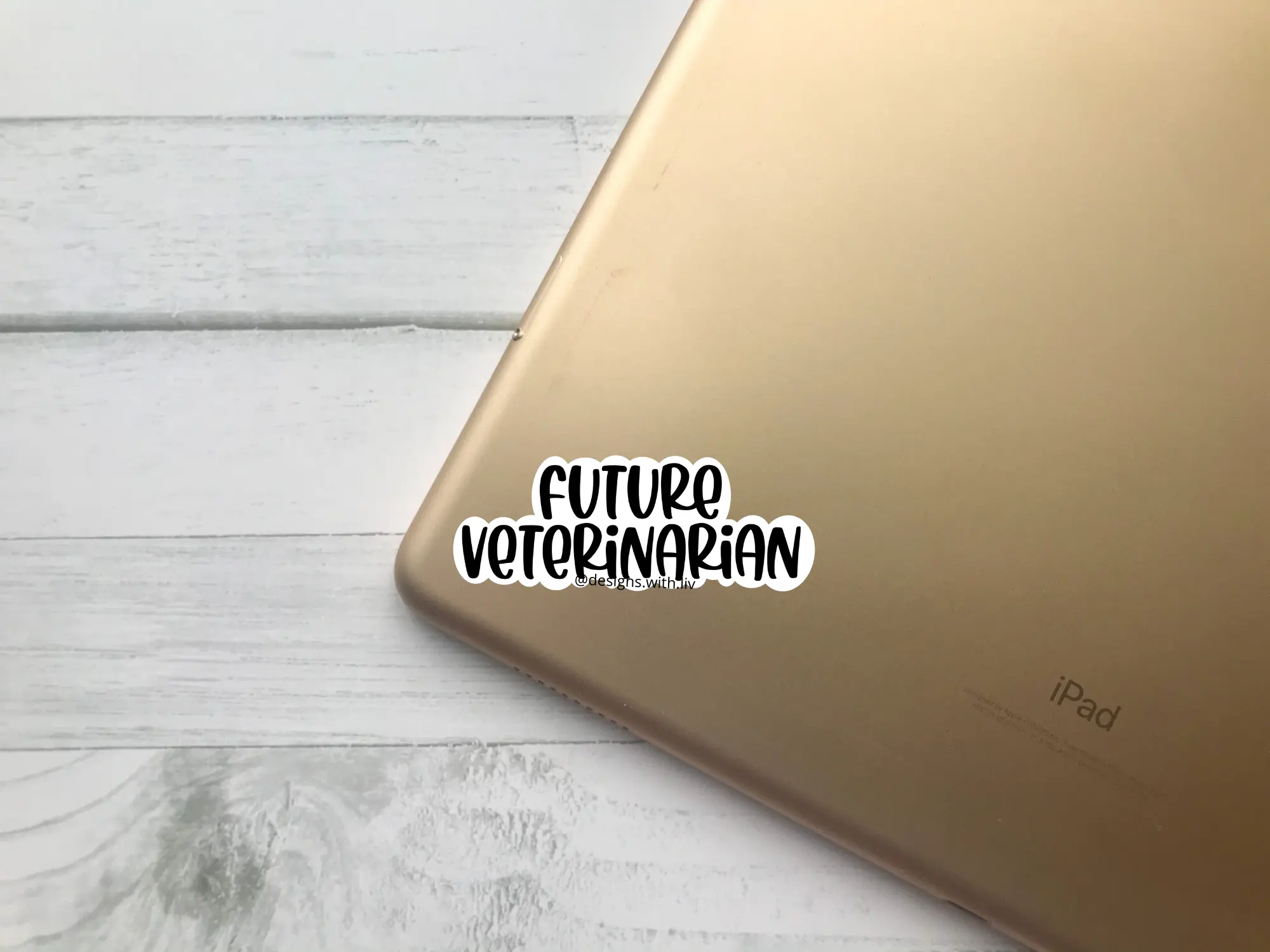 Future Vet Sticker