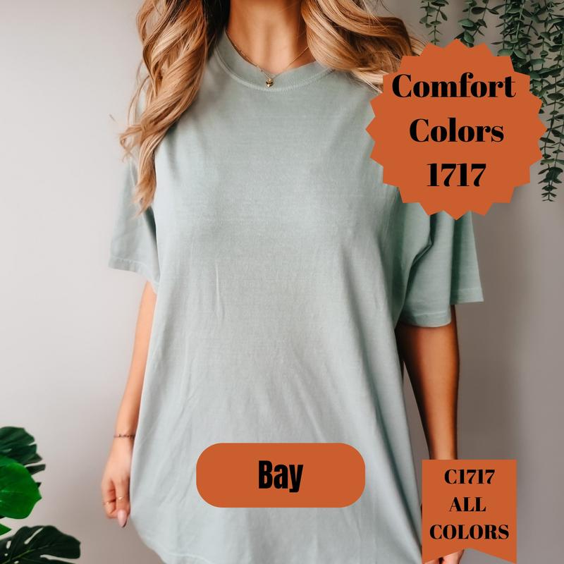 Comfort Colors Violet Shirt,  Violet Blank Shirt, 1717 Garment Dyed T-Shirt – Soft Purple Unisex Tee for DTG, Embroidery Tees, Vintage Shirt