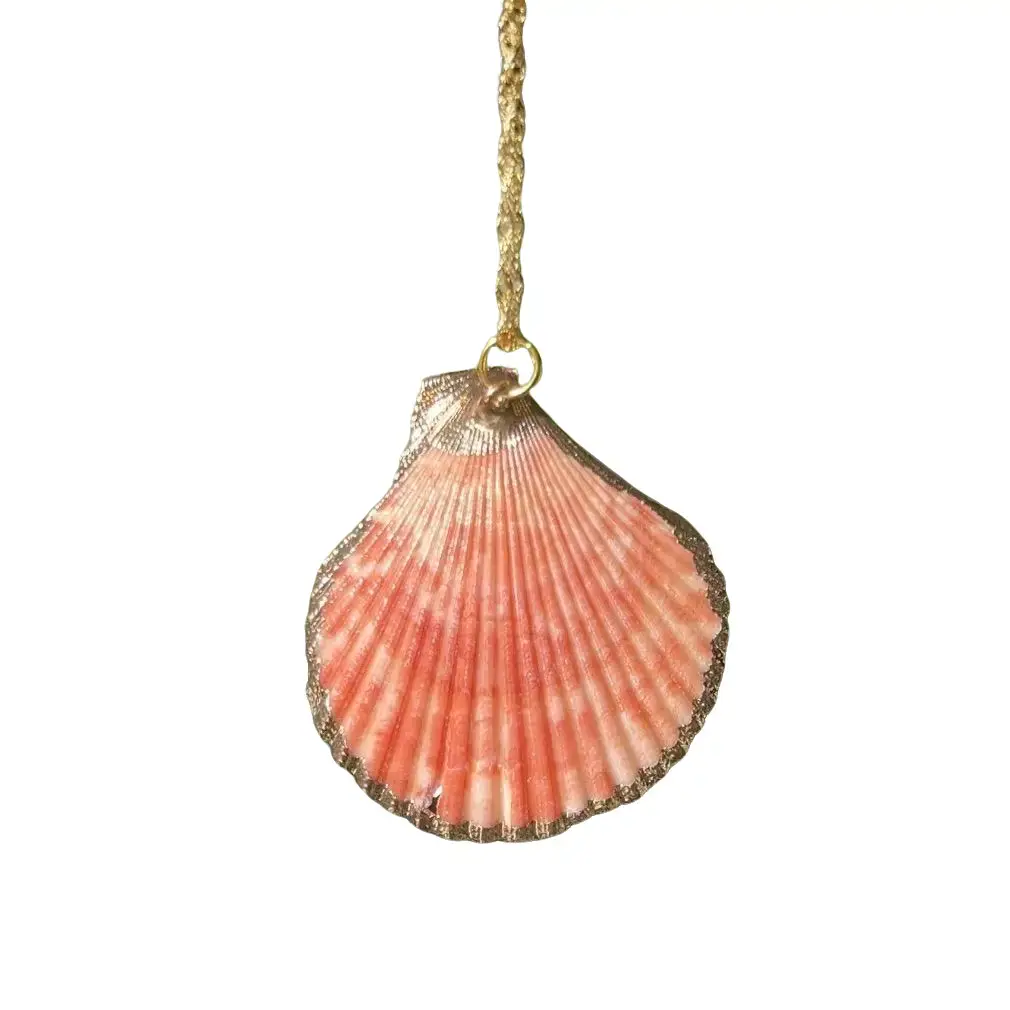 Natural Pink Sea Shell Necklace — with a sterling silver chain