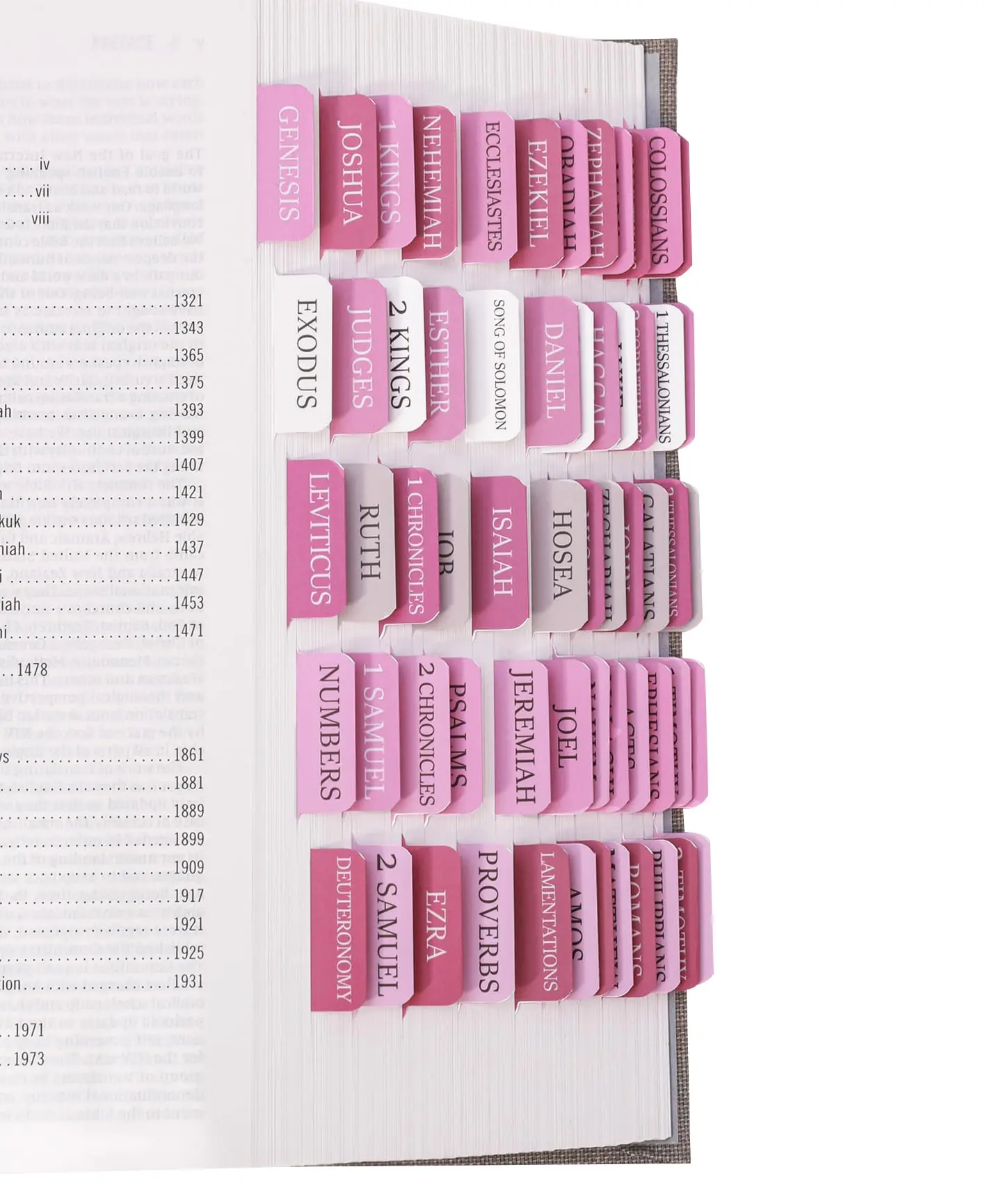 Pink Bible Tabs for Women & Men, Laminated Bible Tabs for Study Bible, Boho Theme Bible Tabs for Easy Navigation, Simplify Your Bible Reading Experience with Easy-to-Use Indexing Tabs