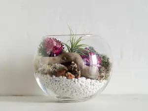 Team Building Kit, Team Building Gifts, Air Plant DIY Terrarium Kit, Natural Decor, Terrarium Decor, Friend Gift, Thank You Gift, Desk Décor