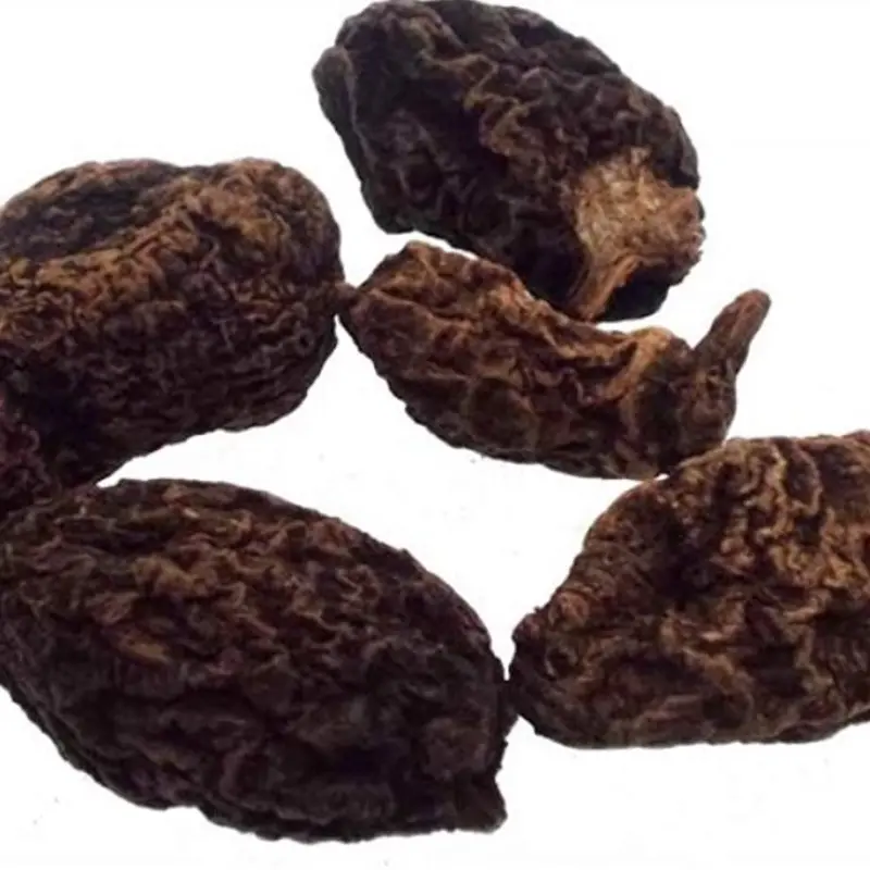High John Root
