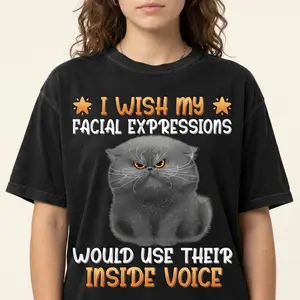 Comfort Colors "I Wish My Facial Expressions Would Use Their Inside Voice" Funny Sarcastic Quote Shirt Grumpy Grey Cat Graphic Tee Introvert Office Humor Vintage Wash Relaxed Fit Relatable RBF Apparel Novelty Gift For Women