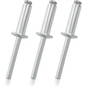 50 Pcs 1/4" x 1" Aluminum Blind Rivets Dome Head Pop Rivets for Installing Accessories, Silver