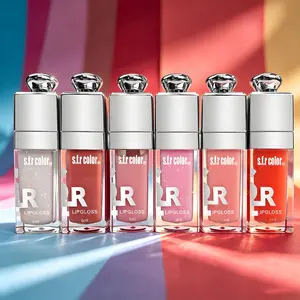 6pcs Hydrating Plumping Lip Glow Oil Shine Transparent Lip Plumper Lipgloss Long Lasting Lip Oil for Valentine's Day