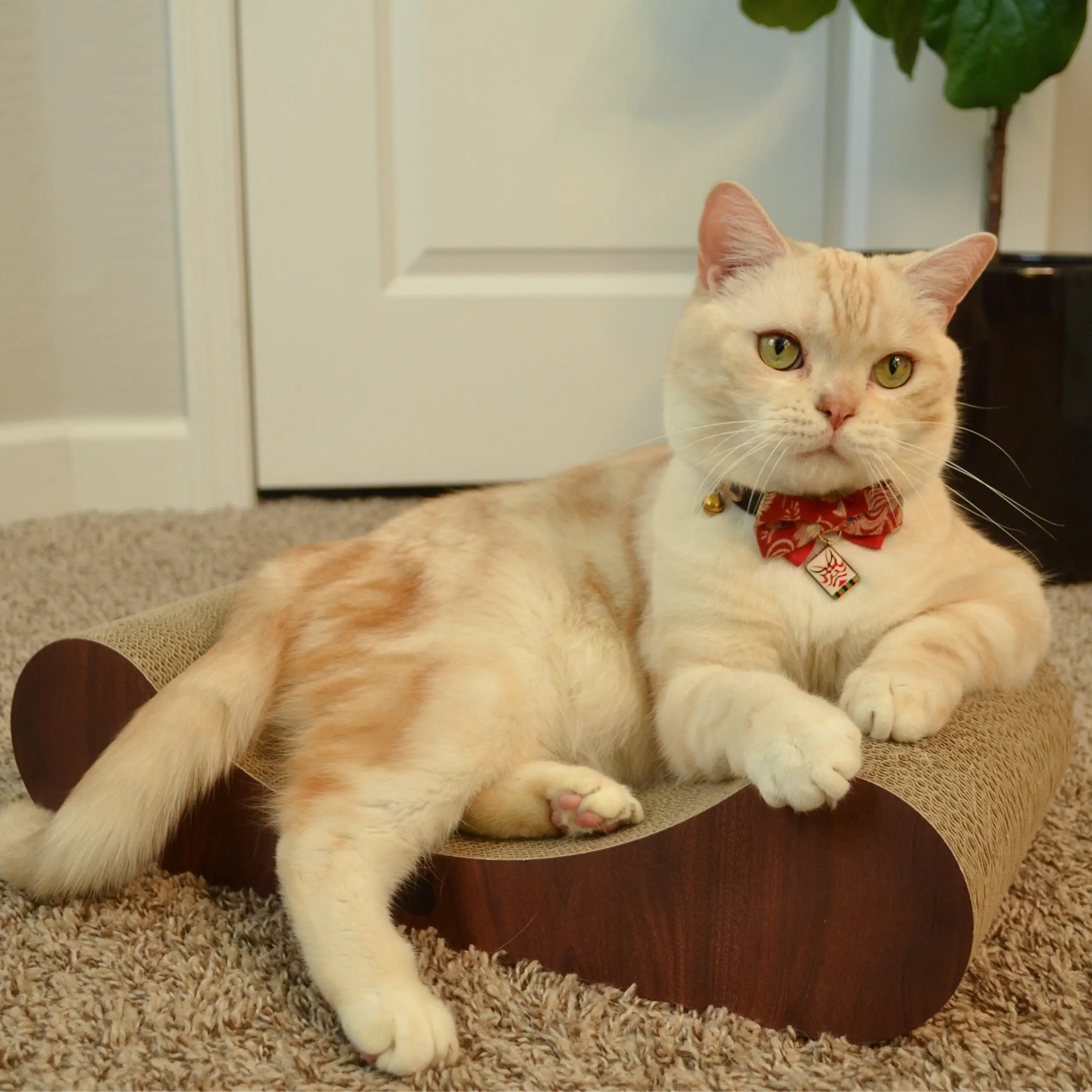 Premium Comfort Curved Cat Lounger (Dark Cherry)