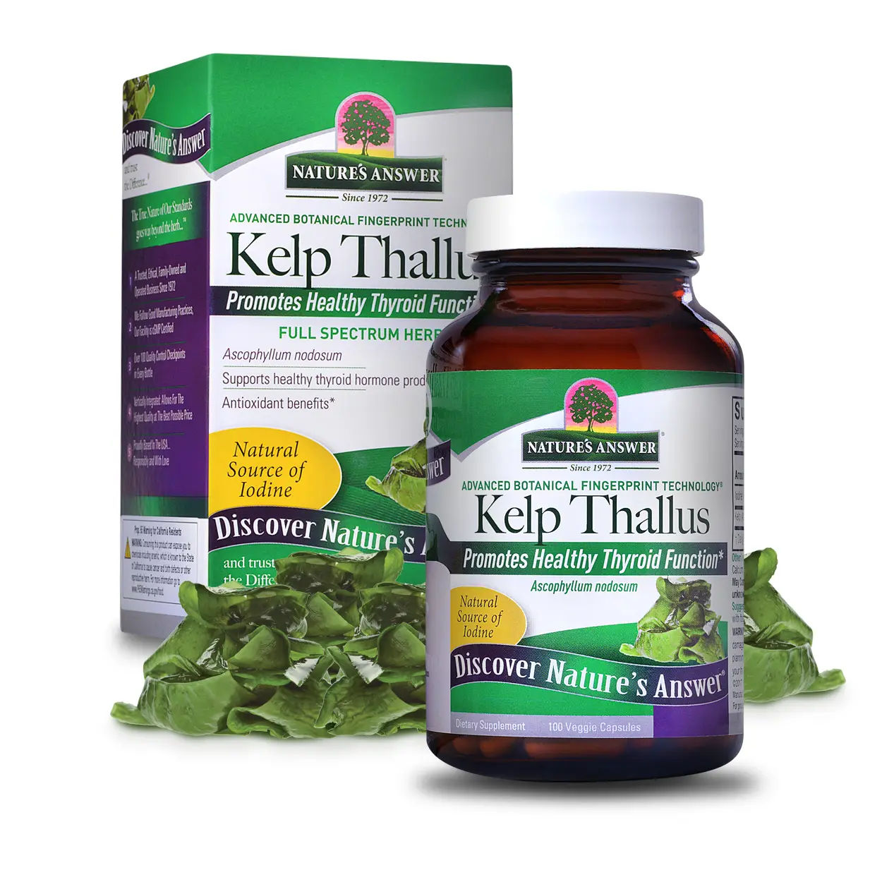 Nature's Answer Kelp Thallus 100-Capsules | Supports Thyroid Health | Natural Source of Iodine | Gluten-Free, Non-GMO, Vegan | Single Count