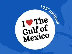 i heart the gulf of mexico | 1.25-inch pinback button | coastal pride pin | fuck trump | anti-trump | fuck elon