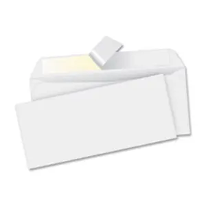 212 MAIN No. 10 Plain Peel-Seal Envelopes, Standard Size (4.13 in x 9.5 in), Seals Easily, 500-Count Box for Office Stationery
