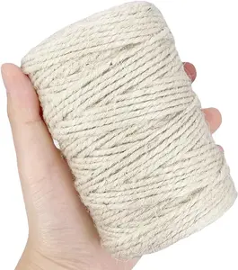 White Jute Twine 2.5mm Thick 328 Feet Heavy Duty Natural Craft Twine String for Home Gardening Plant Picture Hanger Colored Jute Twine for Gifts Presents Jars Wedding