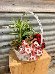 Strawberry Delight
