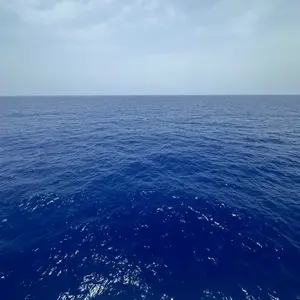 background preload poster image 