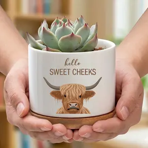 Funny Highland Cow  hello Sweet Cheeks Ceramic Planter Pot with Drainage Holes - Scottish Cow Shaped Plant Pot for Succulents, Cacti, Herbs, Cute Indoor/Outdoor Garden Vase Gift for Plant Lovers, Farmhouse