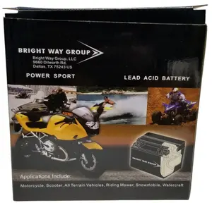 Bright Way Group 12V 9Ah Battery for Raven XL 250, HAWK ENDURO, HAWK DLX 250 EFI, HAWK X 250CC MOTORCYCLE- DIRT BIKE