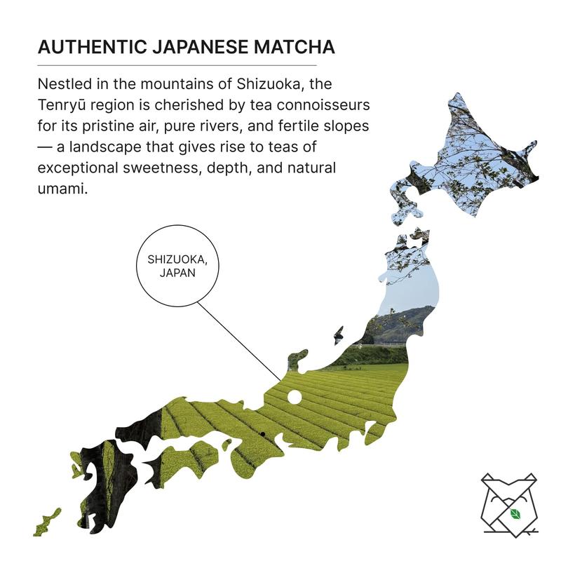 FKRO Saemidori Organic Ceremonial Matcha Powder - Single Cultivar, Air Flown Monthly from Japan, Smooth & Umami Traditional Green Tea, 30g Tin